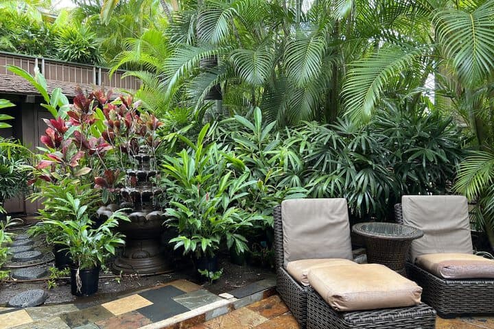 Guava Suite photo 3