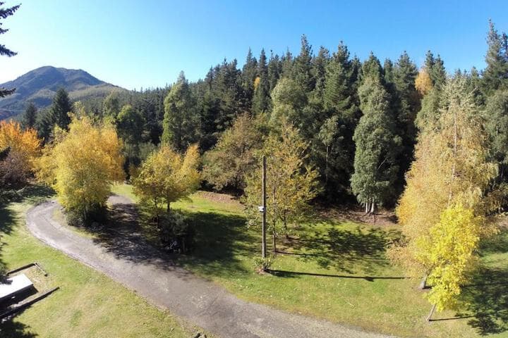 Alpine Adventure Holiday Park photo 2