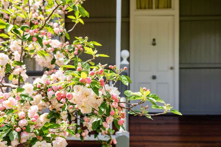 Apple Blossom Cottage photo 3
