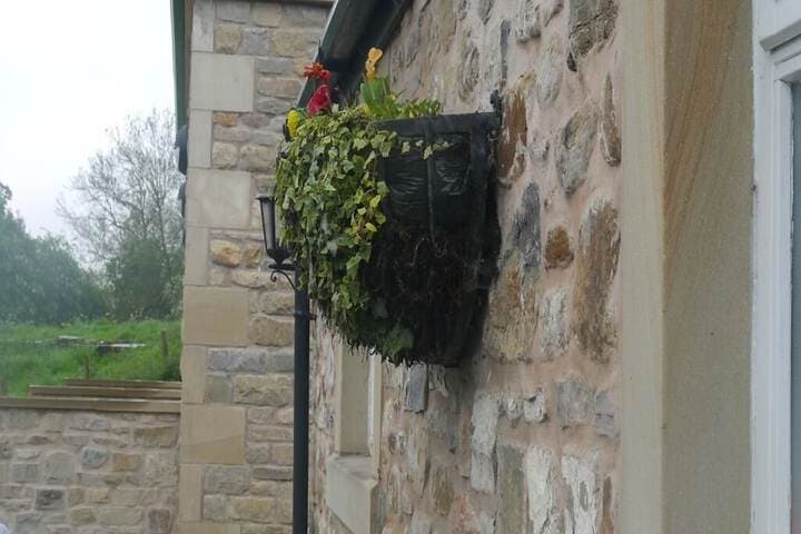 The 3 Millstones Inn photo 3