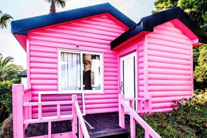 The May of Jeju House Pension photo 2