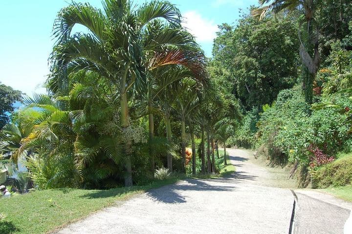 Sailfish Beach Villas photo 4