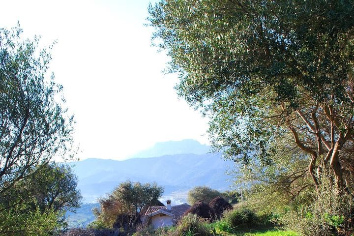 Essenza Sardegna photo 5