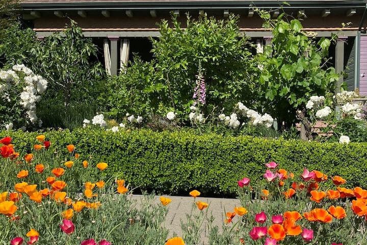 Pinschower Inn photo 3