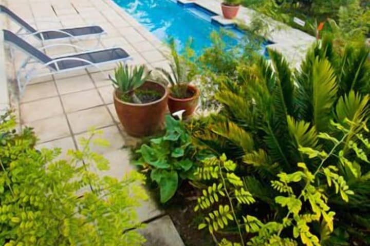 Apple&Spice Guesthouse photo 2