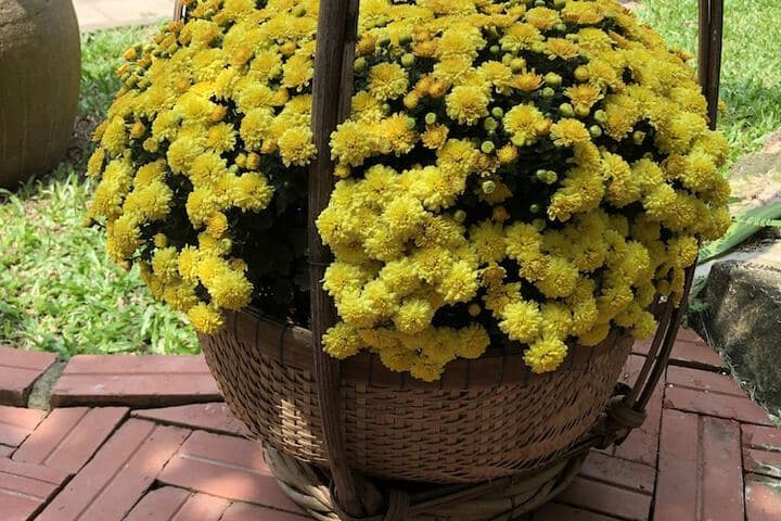 Tropical Garden Phu Quoc photo 2