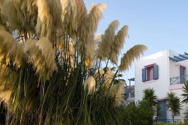 Cybele Suites & Apartments photo 2
