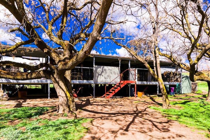 Hillview Farmstay photo 5