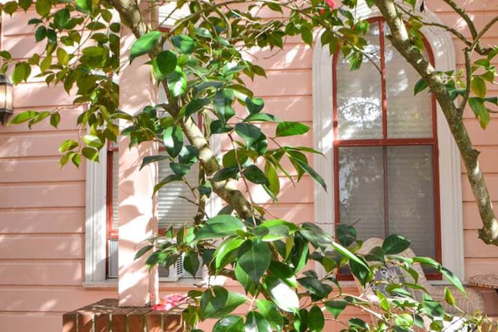 Camellia Inn photo 5