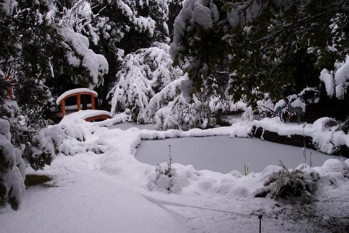 Woodland Lodge photo 4