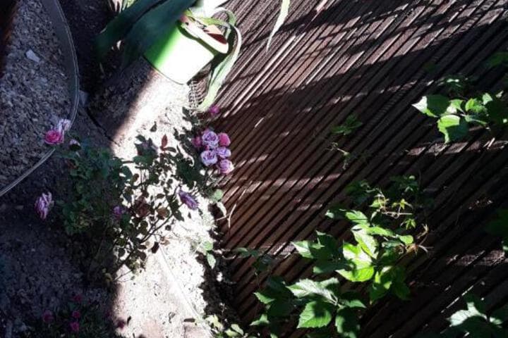 Casa Silvia photo 5