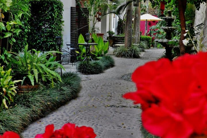 Hotel Rosa Morada photo 4