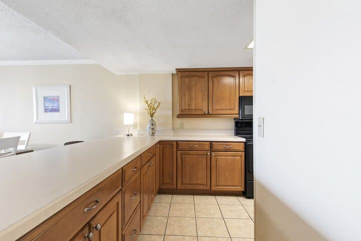 2BR Ocean View Condo w Private Balcony photo 5