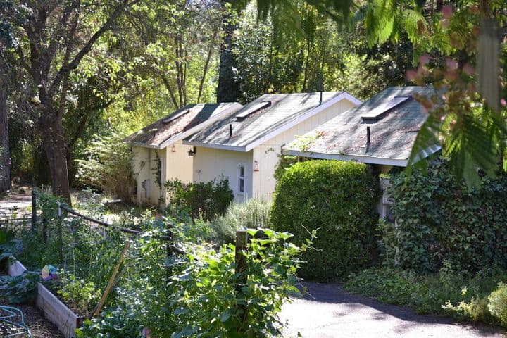 Backyard Garden Oasis photo 5