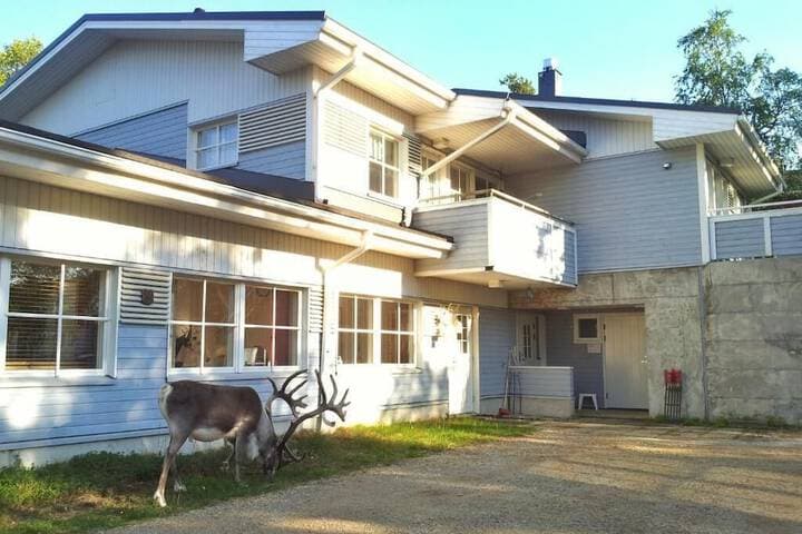 Kuukkeli Apartments photo 4