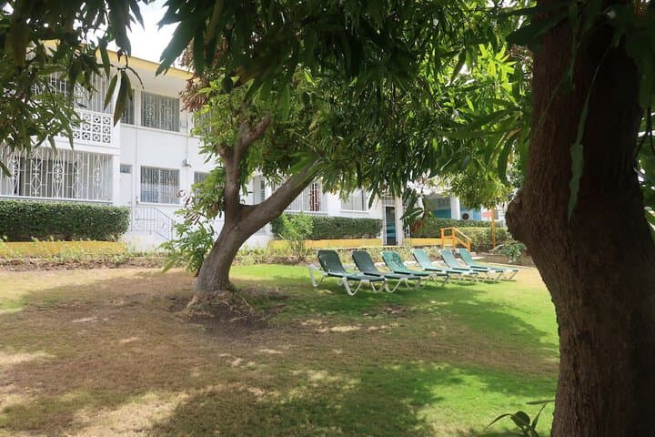 Adulo Apartments photo 4