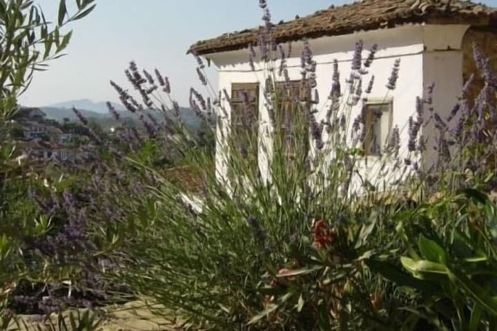 Terrace Houses Sirince Fig Olive Clockmakers&Grapevine photo 5