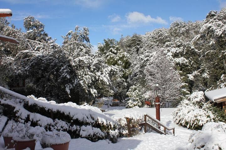Woodland Lodge photo 2