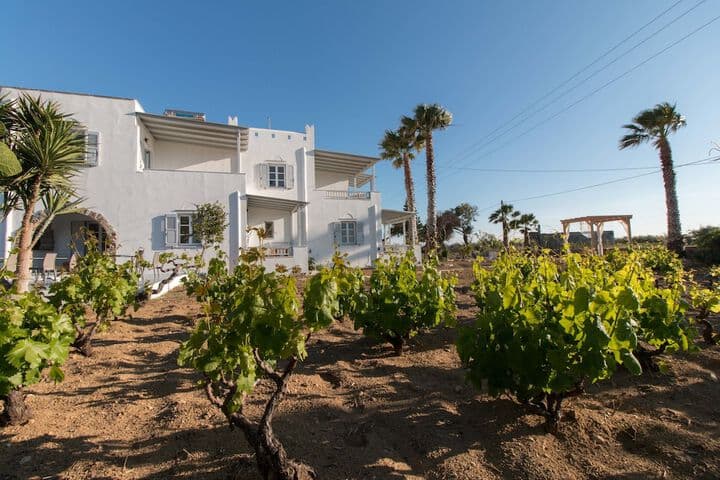 Ktima Bianco photo 5