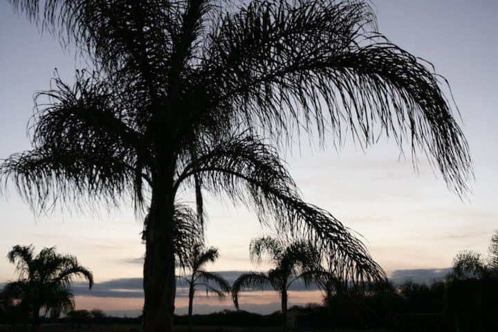Cabañas Marina House photo 4