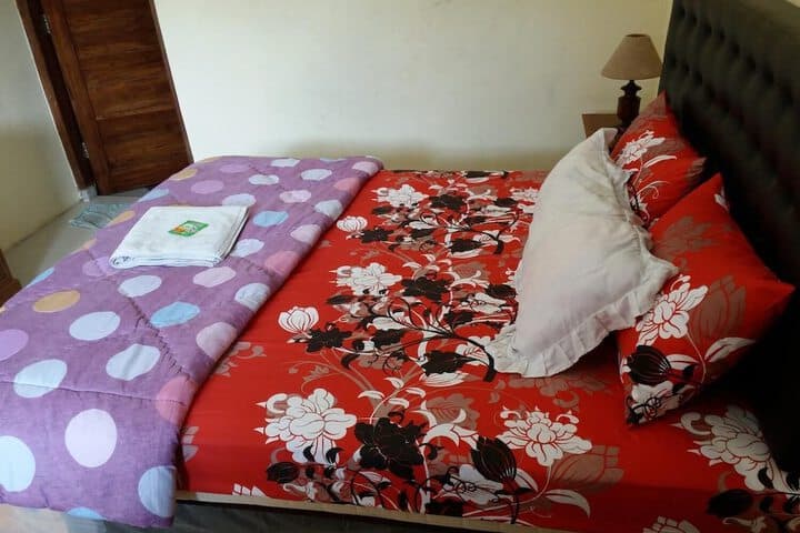 Beto Guesthouse photo 4