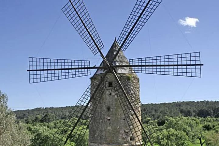 Agroturismo Es Molí de Son Maiol photo 2