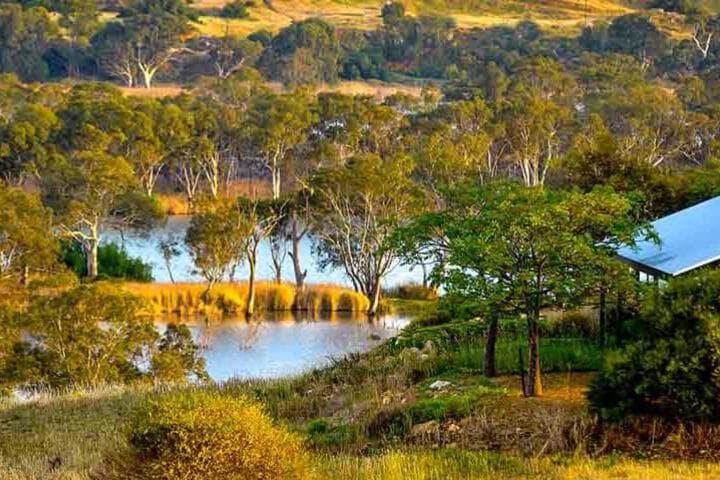 Cowirra destination view