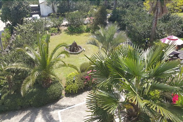Jeju Casablanca photo 4