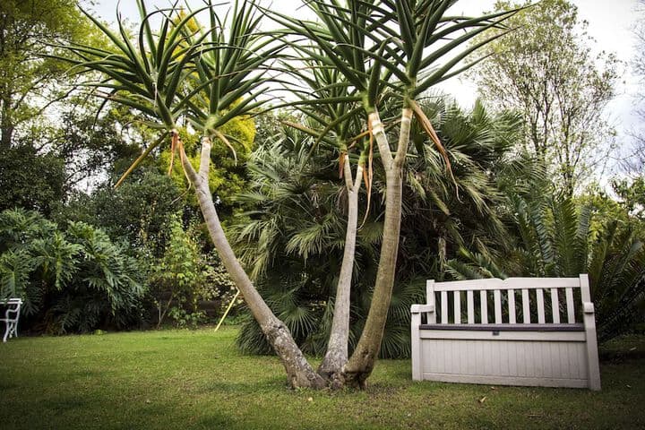 Sunbird Guest House photo 1