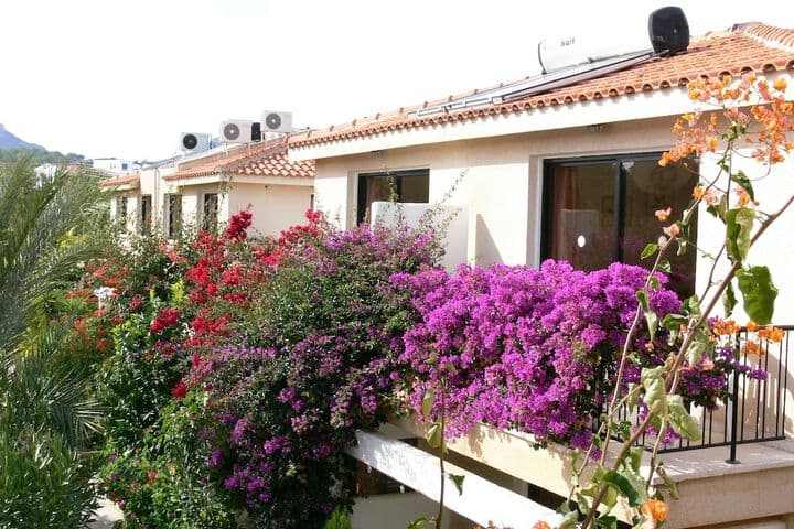 Tavros Hotel Apartments photo 4