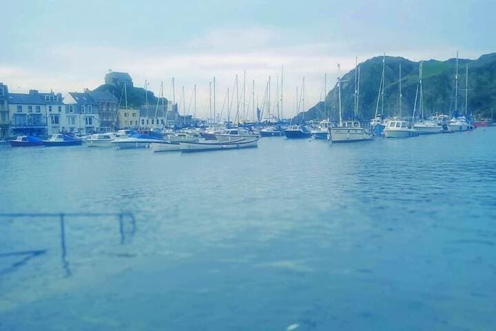 Verity&Ilfracombe Harbour View photo 3