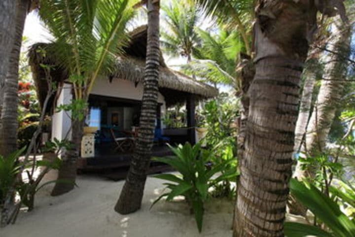 Heliconia Hideaway photo 3