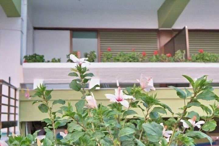 Moireas Apartments photo 2