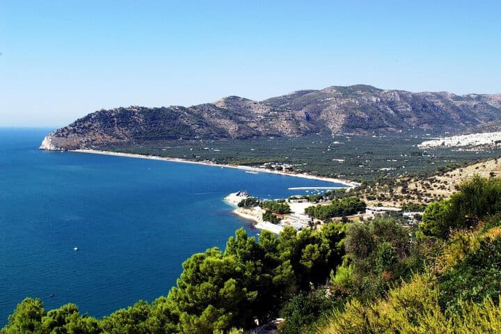 Case Vacanze LUliveto photo 2