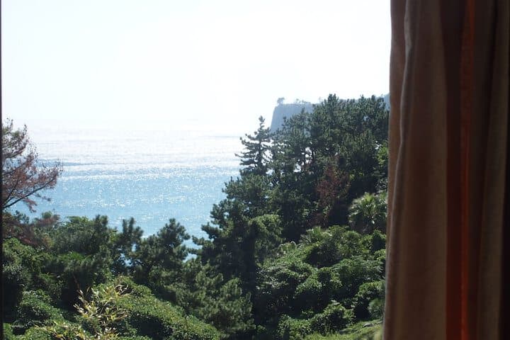 Black Rose House photo 2