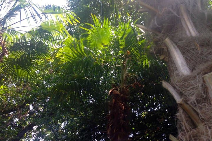 Villa Abbamer photo 4