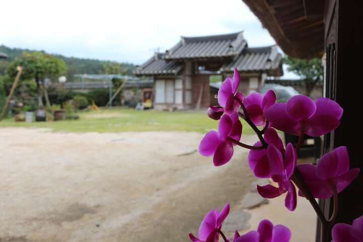 Kimho House photo 3