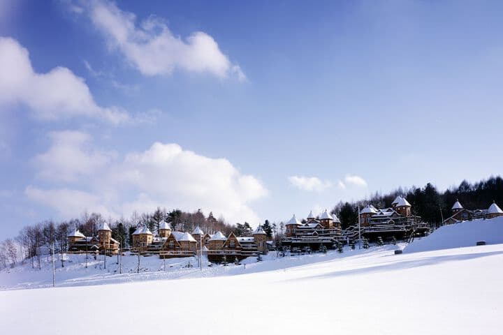 Elf Resort Hotel photo 2