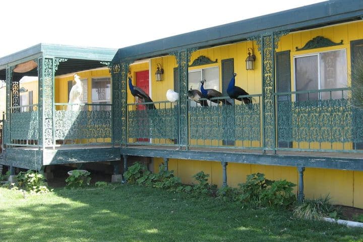 Shady Lady Bed & Breakfast photo 4