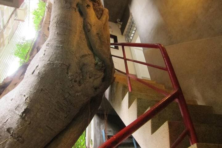 Shennong 147 Hostel photo 4