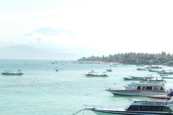 Lembongan Harmony Villas photo 4