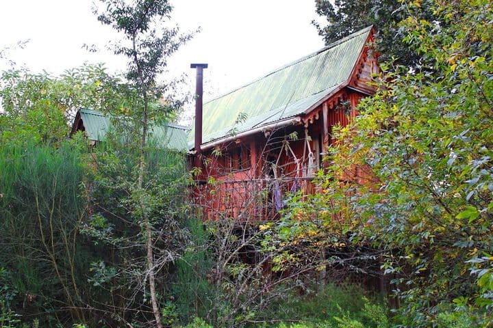 Sycamore Avenue Treehouses photo 5