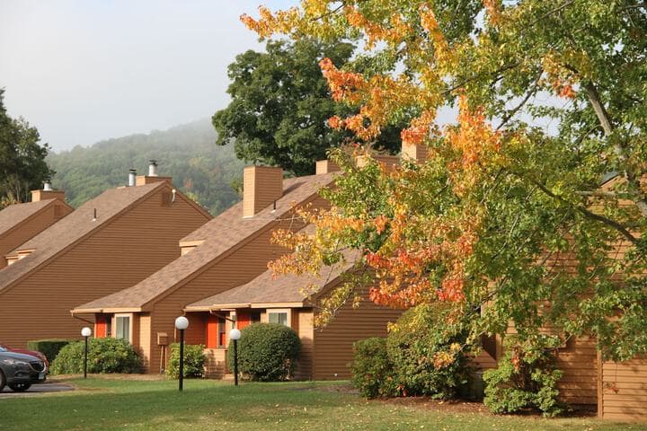 Cold Spring Resort photo 4