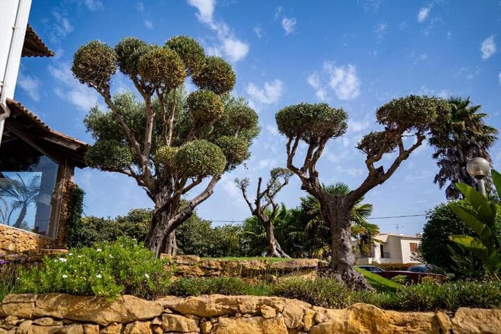 Luzmar Villas photo 4