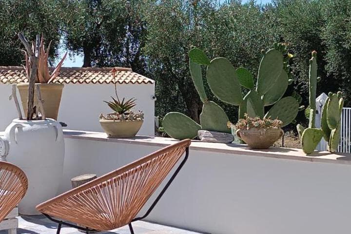 B&B Sperlonga photo 2