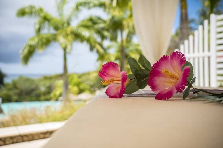 Pierre & Vacances Residence Premium Les Tamarins photo 2
