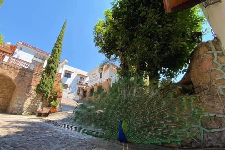 Hotel Posada San Javier photo 4