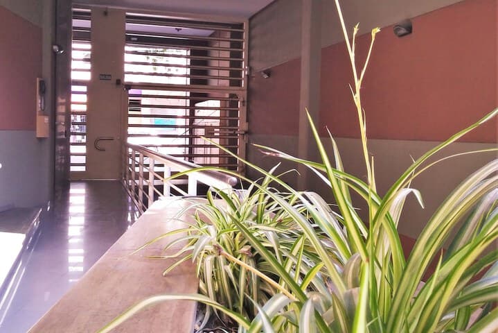 Apartamentos Mendoza photo 3