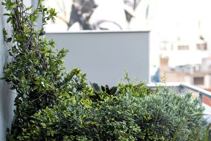iFeel Athens photo 3