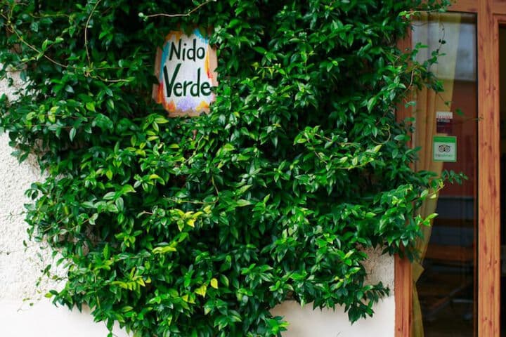 Hotel Nido Verde photo 3